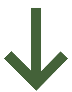 sageata