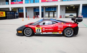 Fototapet Masini Fox 19-0102