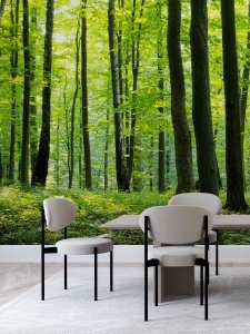 Fototapet Padure Verde Realista