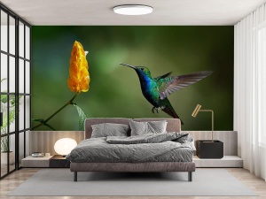 Fototapet Pasare Colibri in Habitat Natural - Img 2