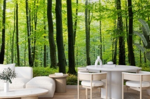 Fototapet pădure verde în living-dining scandina cu canapea albă, masă rotundă albă, scaune din lemn și plantă tropicală