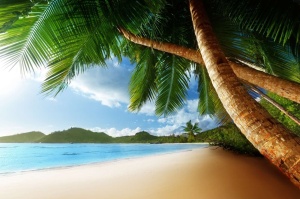 Fototapet Peisaj Tropical 03