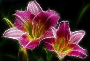 Fototapet Abstract Flori FX-02-024