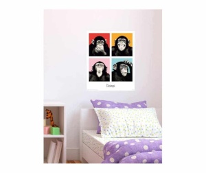 Mini Poster Cimpanzeul Pop B43/302 - 50 x 40 cm - Img 2