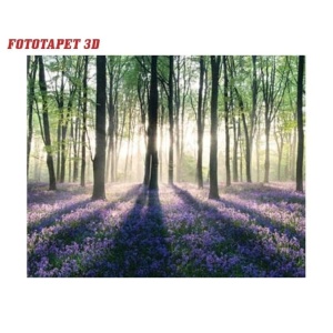 Mini Poster Padurea fermecata B43/374 - 50 x 40 cm