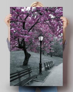 Maxi Poster Copaci Infloriti in Parc A35/91 - 91.5 x 61cm - Img 3