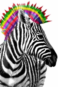 Tablou Zebra Punk Deco Panel 60x90cm