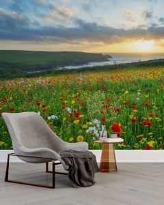 Fototapet Camp de Flori la Malul Marii