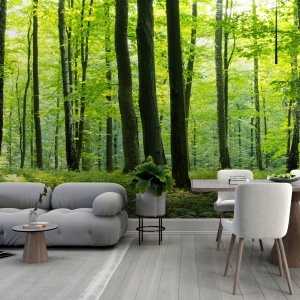 Fototapet pădure verde în living și dining deschis cu canapea gri rotunjită, masă din lemn, scaune albe și plantă decorativă