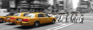 Tablou Pinguini in New York Panel 30x90cm