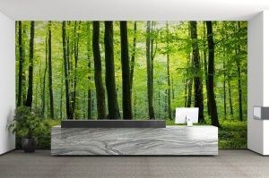 Fototapet pădure verde în recepție corporativă cu birou din marmură gri, monitor alb și plantă decorativă în ghiveci negru