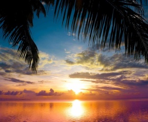 Fototapet Peisaj Tropical 28