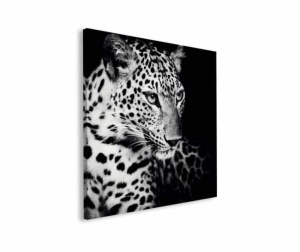 Tablou Leopard Deco Block 90 x 90cm - Img 3
