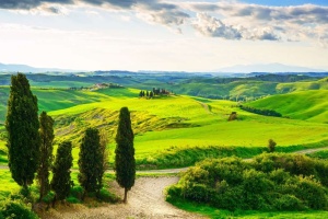 Fototapet Campii si Dealuri 04
