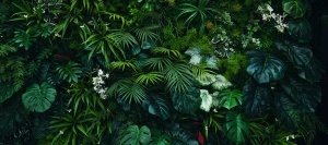 Fototapet perete verde jungle cu zid dens de plante tropicale — monstera, palmieri, orhidee albe și vegetație luxuriantă în verde smarald