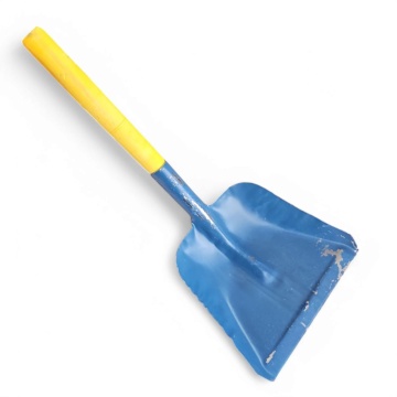 Faras albastru cu coada galbena ASM2125