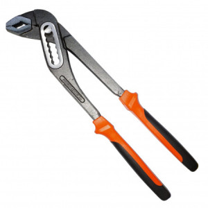 Cleste papagal 6822