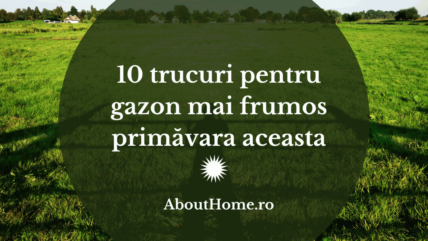 10 trucuri pentru gazon mai frumos primăvara aceasta