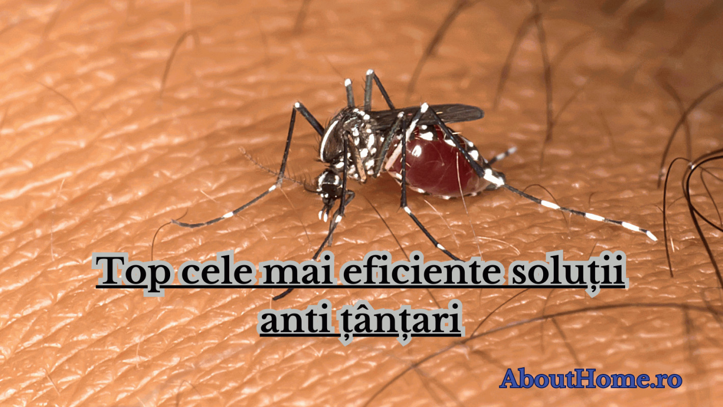 Top cele mai eficiente soluții anti țânțari