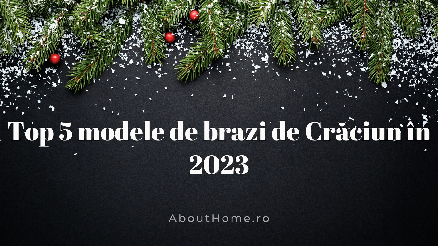 Top 5 modele de brazi de Crăciun în 2023