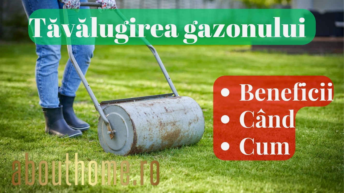 Tăvălugirea gazonului - Ce este, ce beneficii aduce și când se face?