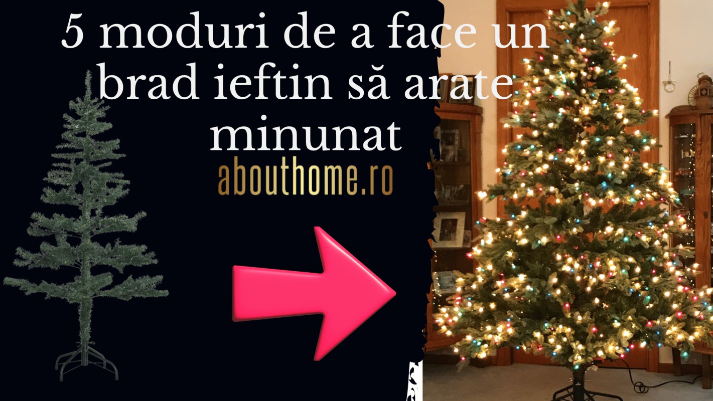 5 moduri de a face un brad ieftin să arate minunat