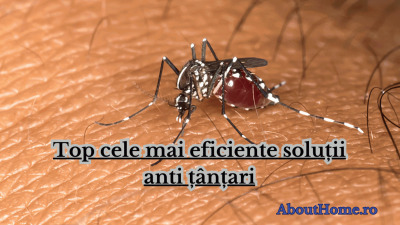 Top cele mai eficiente soluții anti țânțari
