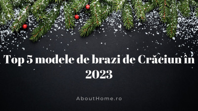 Top 5 modele de brazi de Crăciun în 2023