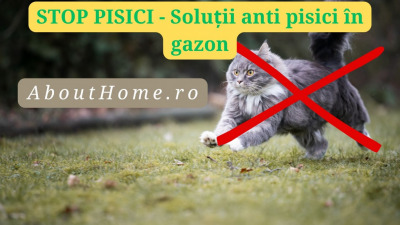 STOP PISICI - Soluții anti pisici în gazon