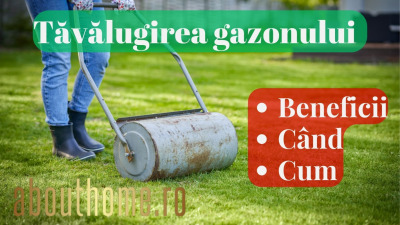Tăvălugirea gazonului - Ce este, ce beneficii aduce și când se face?