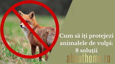Cum să îți protejezi animalele de vulpi: 8 soluții