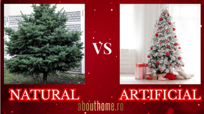 7 Beneficii ale brazilor artificiali VS brazii naturali