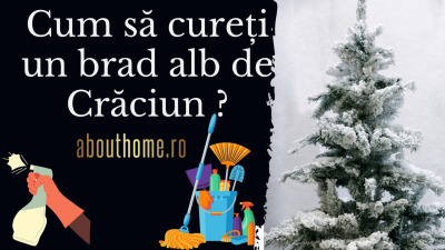 Cum să cureți un brad alb de Crăciun ?