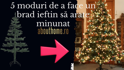 5 moduri de a face un brad ieftin să arate minunat