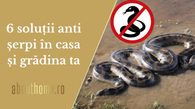 6 soluții anti șerpi în casa și grădina ta