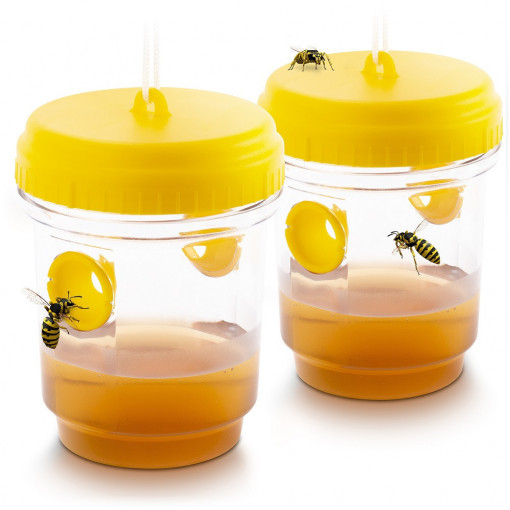 Set de 2 capcane pentru visepi, muște. bondari, gărgăuni, insecte, 95 x 110 mm, 2 bucăți, agățătoare inclusă, galbene