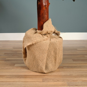 Brad artificial Canadian Frost, 80 cm, trunchi înalt din lemn natural 100% FSC, ace 3D, diametru 30 cm, cu zăpadă