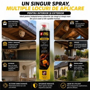 Spray insecticid anti viespi și gărgăuni 4Hornet, 750 ml, jet până la 3 m, pentru cuiburi, interior și exterior