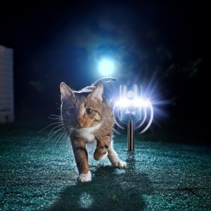 Aparat anti pisici și vulpi cu ultrasunete, senzor de mișcare, 6 x LED-uri, panou solar
