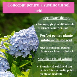 Îngrășământ granular pentru hortensii NPK 5-3-5 + 2 % Magneziu, acțiune 120 zile, organic-mineral, 1.25 kilograme - Img 3