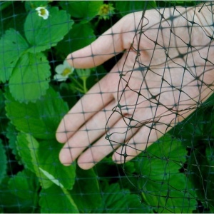 Plasă anti păsări PE 4x10 m – 11,5 gm², protecție pomi fructiferi și culturi, rezistentă UV, garanție 3 ani