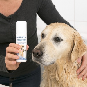 Șampon antiparazitare câini și pisici, 200 ml, protecție 3 săptămâni, purici, capușe, pentru ouă, larve, și adulți, fără substanțe chimice periculoase