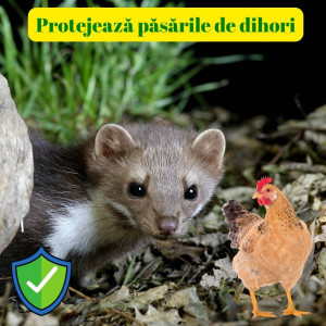 Aparat anti pisici, anti jder, anti dihor cu ultrasunete și lumină LED, acoperire 200 mp2, senzor de mișcare, IP44, alimentare cu baterii