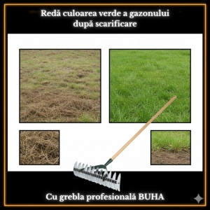 Greblă pentru scarificat aerat gazonul Buha ProRake, lățime 38 cm, mâner lemn inclus, oțel, 21 dinți, scarificator manual