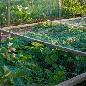 Plasă anti păsări PE 4x10 m – 11,5 gm², protecție pomi fructiferi și culturi, rezistentă UV, garanție 3 ani
