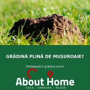 Aparat anti cârtițe și șoareci de câmp cu ultrasunete, alimentare solară, acoperire 700 m², panou solar, certificare IPX4, 25.5 centimetri, cu înșurubare
