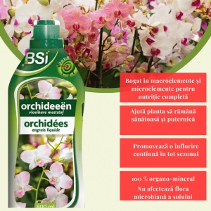 Îngrășământ lichid pentru orhidee profesional, 1 litru, pentru înflorire și creștere, NPK 4-4-7 + Microelemente