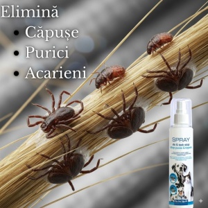 Spray antiparazitare câini și pisici, 200 ml, acțiune 4 luni, purici, capușe, pentru ouă, larve, și adulți, fără substanțe chimice periculoase