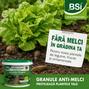 Granule combatere limcsi 2.5 kilograme, acoperire 75 metri pătrați, efect până la 4 săptămâni