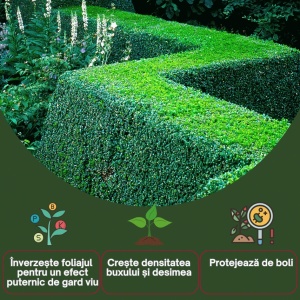 Îngrășământ pentru buxus profesional, granule, eliberare treptată, acțiune 120 zile, NPK 7-4-6 + 3% oxid de magneziu, 1.25 kilograme